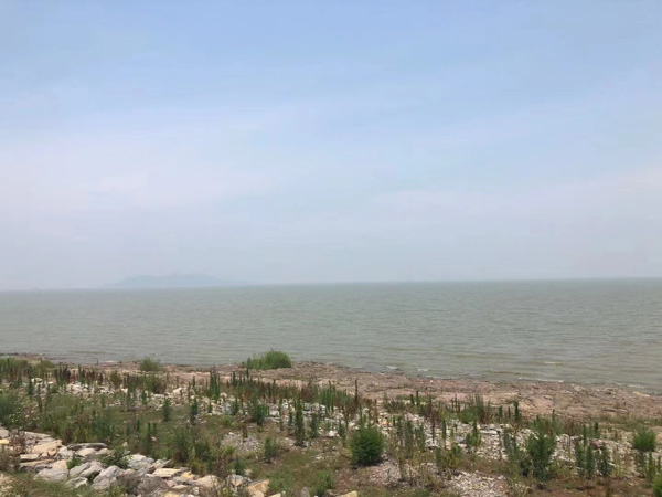 買小產權房拆遷時有沒有拆遷補償？深圳律師咨詢網最新解讀