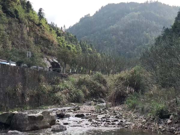 水電站說(shuō)拆就拆？看深圳專(zhuān)業(yè)拆遷律師如何在法庭雄辯維權(quán)