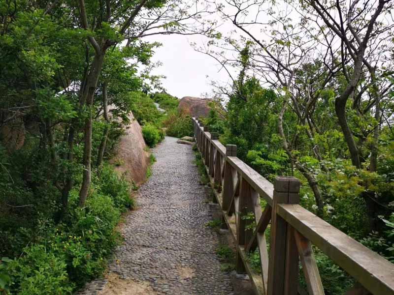 和深圳房產律師一起回顧關于合作開發房地產合同糾紛經典案例
