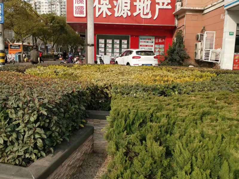 大鵬新區(qū)律師:誤拆=強(qiáng)拆！是對(duì)房屋的蓄意“謀殺”!構(gòu)成犯罪！