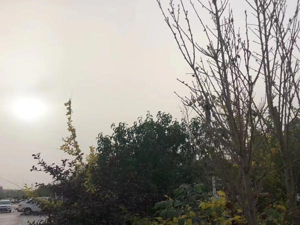 股權轉讓發生糾紛的情況下管轄法院如何確定？深圳靠譜的律師來回答