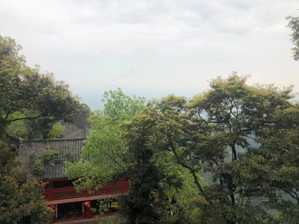 借款合同問題怎么解決？深圳借款合同糾紛律師告訴你