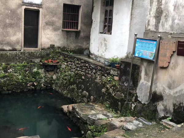 債務人拖延執行需要承擔哪些責任？深圳債務律師為您解答