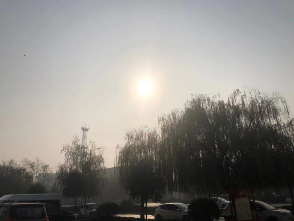 都在這兒了！關于遺產繼承，深圳遺產糾紛律師2022最新法律條文整理